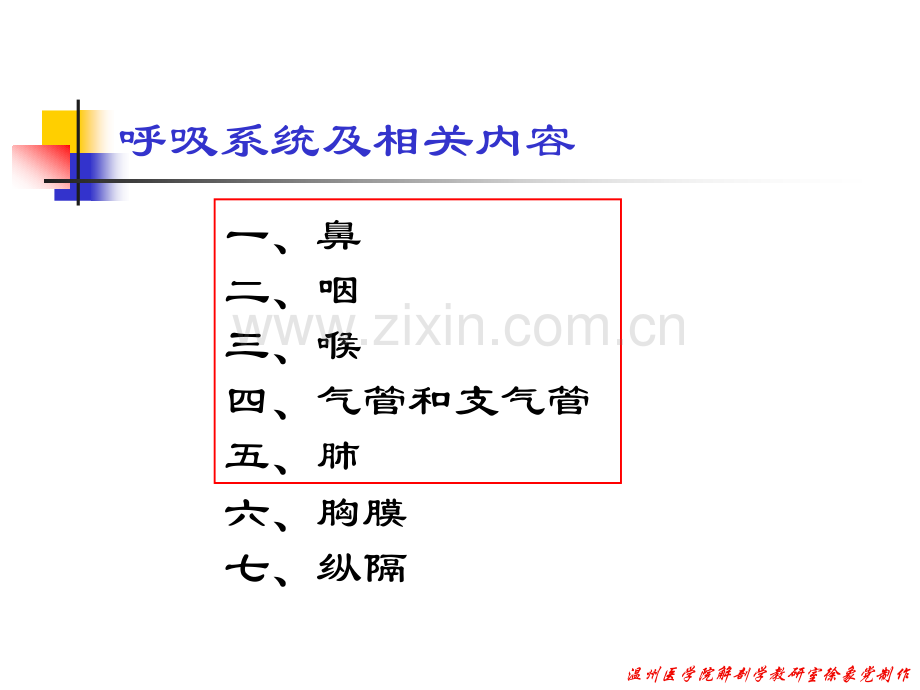 系统解剖学05呼吸系统.pptx_第2页