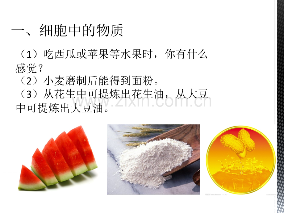 细胞的生活li副本.pptx_第3页