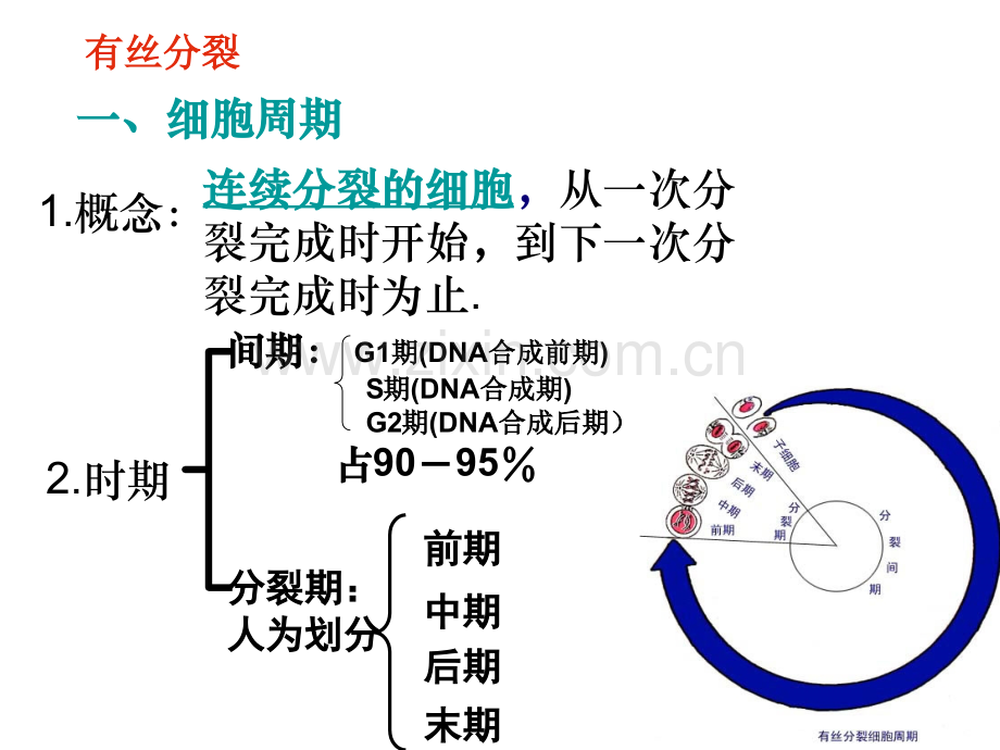 细胞的生命历程和遗传的细胞学基础.pptx_第2页