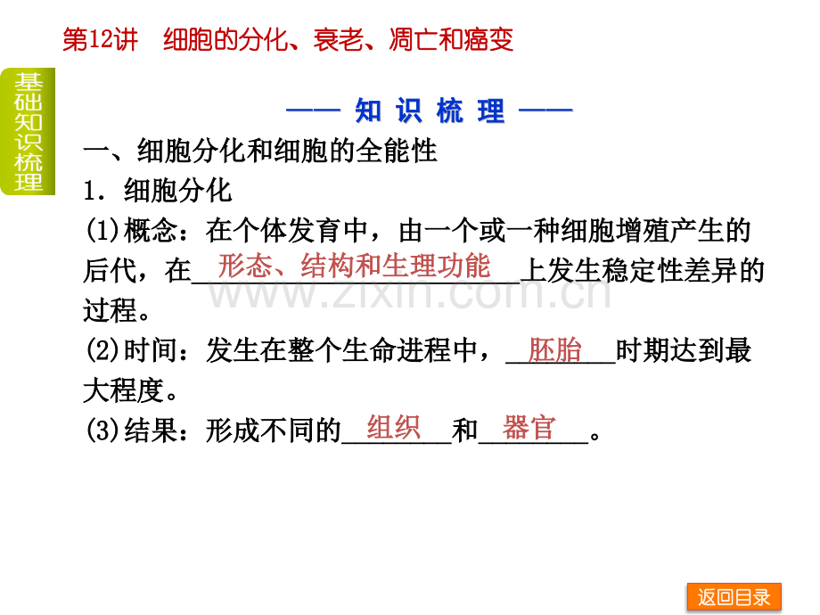 细胞的分化衰老凋亡和癌变共39张.pptx_第3页