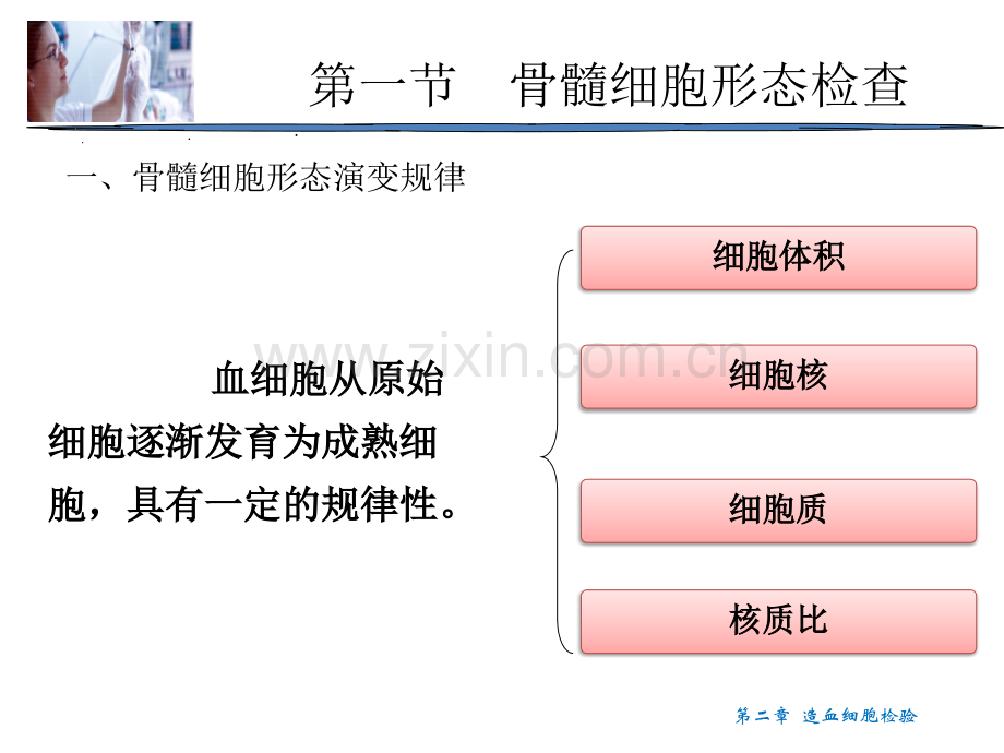 造血细胞检验.pptx_第1页