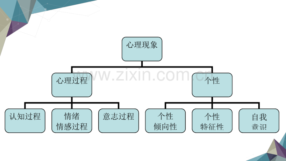 老年人的心理特点.pptx_第3页