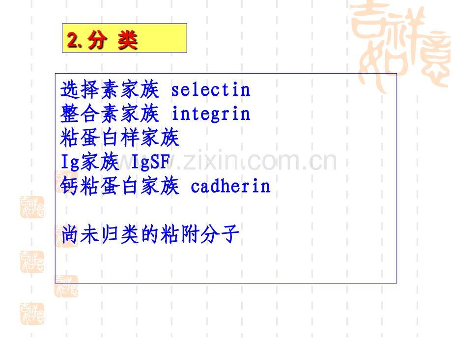 细胞粘附因子.pptx_第2页