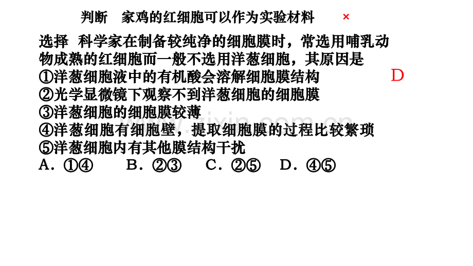 细胞膜一复习.pptx_第3页