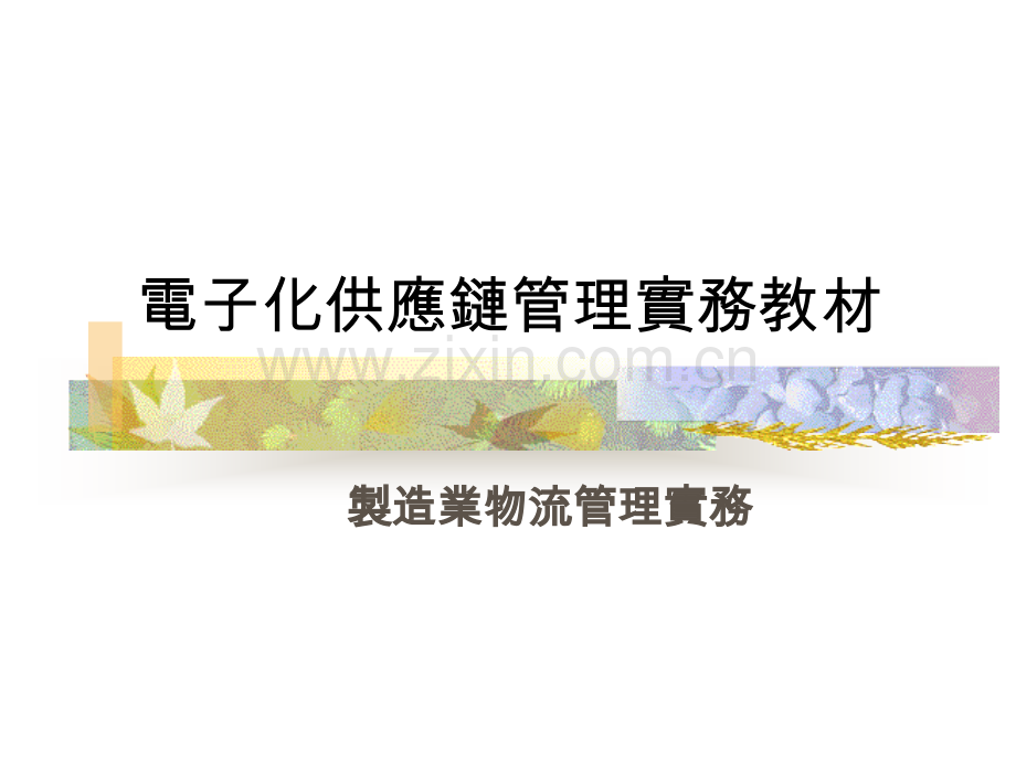 电子化管理实务.pptx_第1页