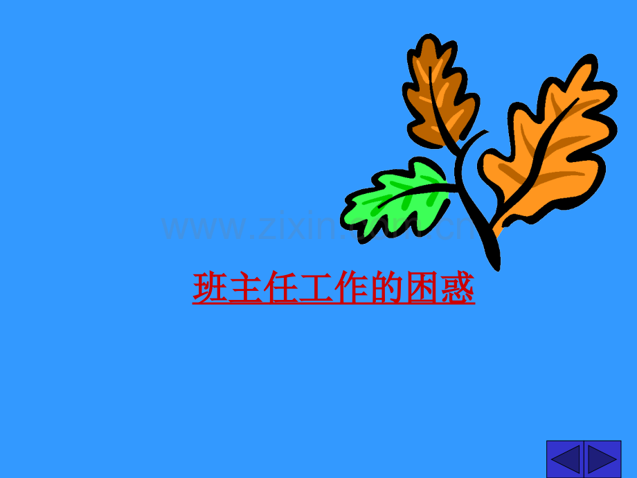 班主任的困惑.pptx_第1页