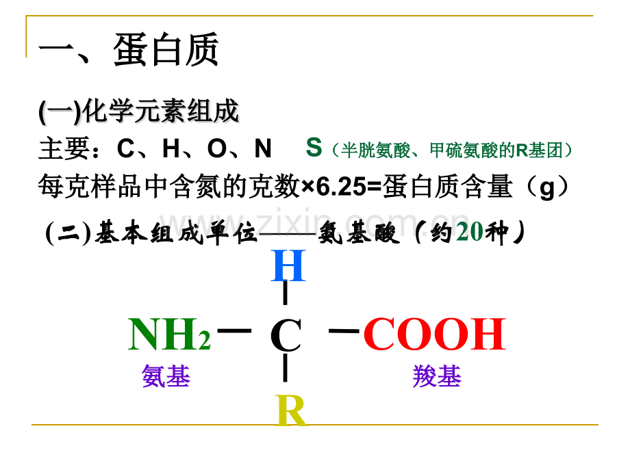 生命的物质基础.pptx_第1页