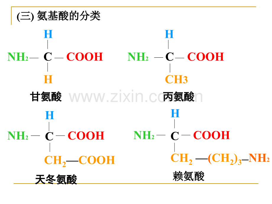 生命的物质基础.pptx_第2页