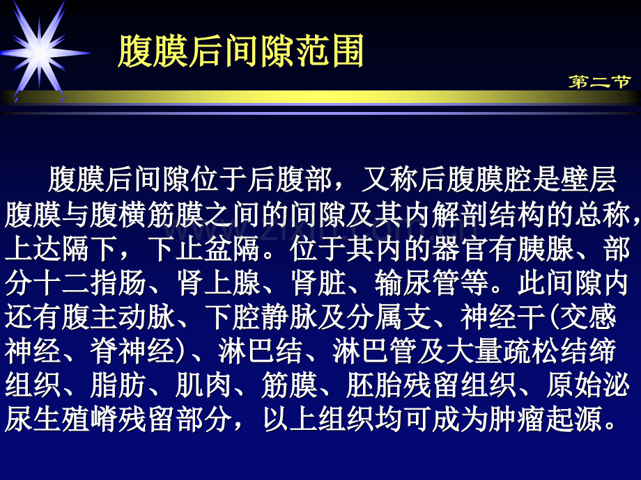 腹膜后解剖及其好发肿瘤.pptx_第3页