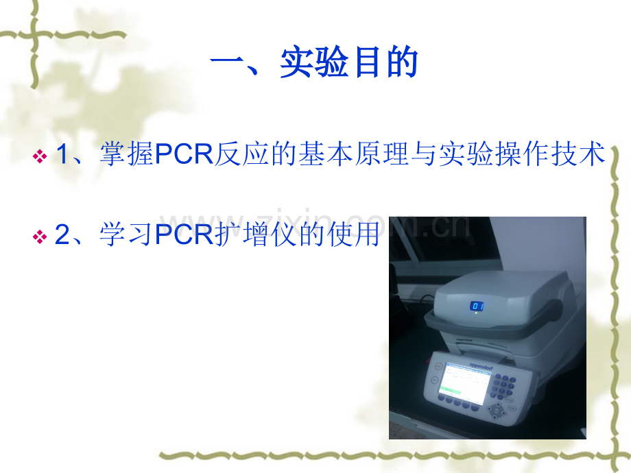 目的基因的PCR扩增.pptx_第2页