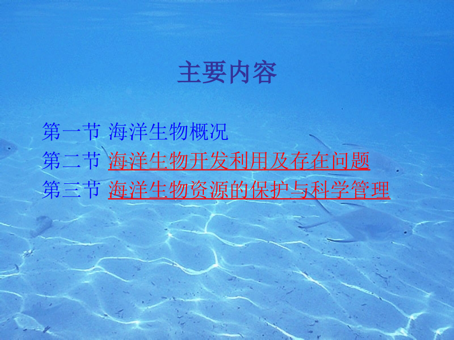 综合开发海洋生物资源.pptx_第2页