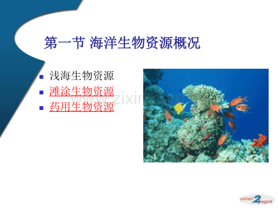 综合开发海洋生物资源.pptx_第3页