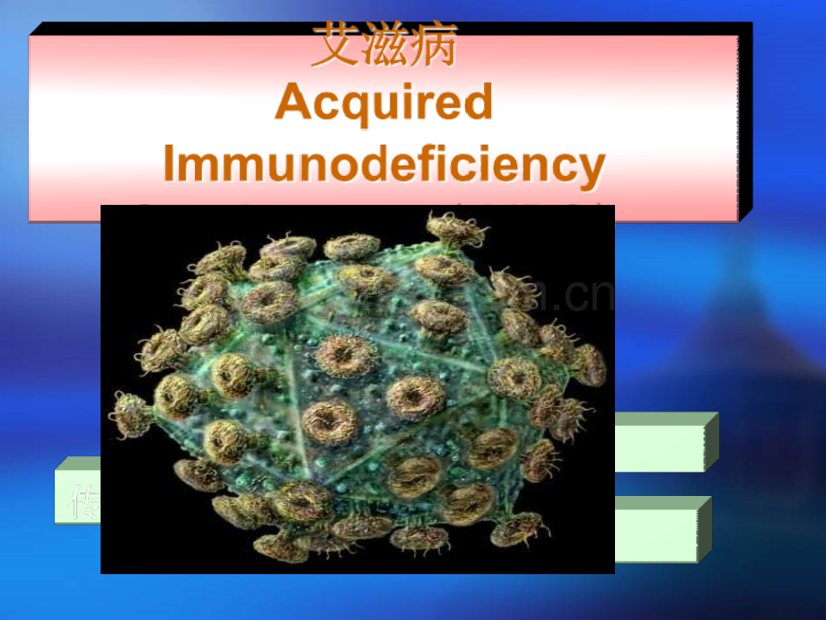 8艾滋病医学PPT课件.ppt_第1页