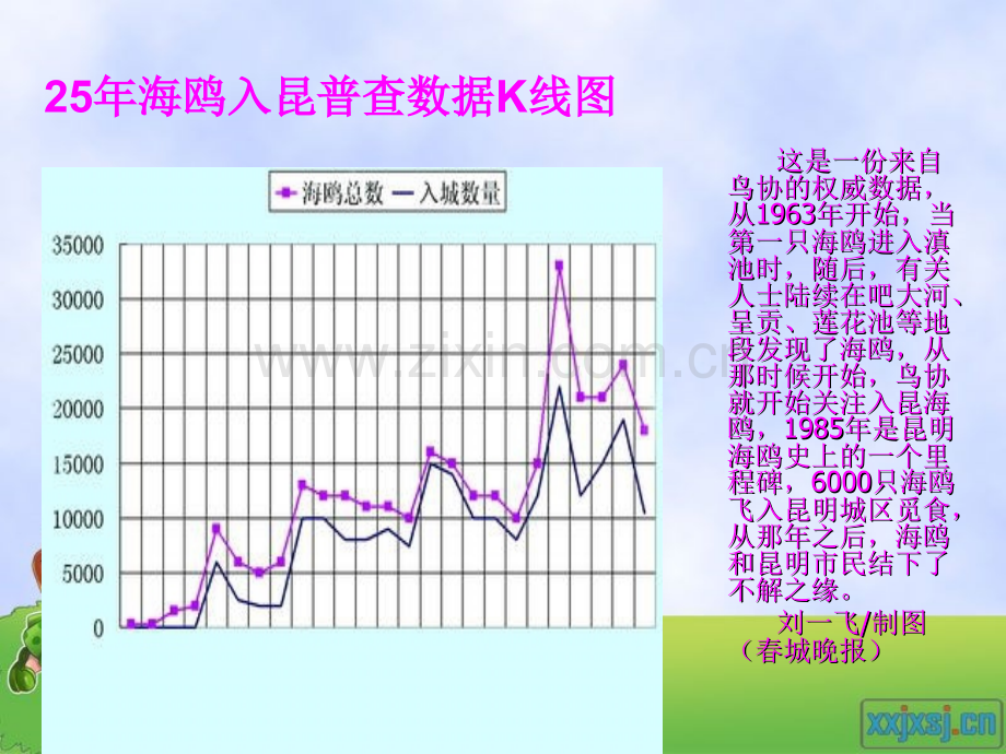 老人与海鸥ppt课件.pptx_第2页