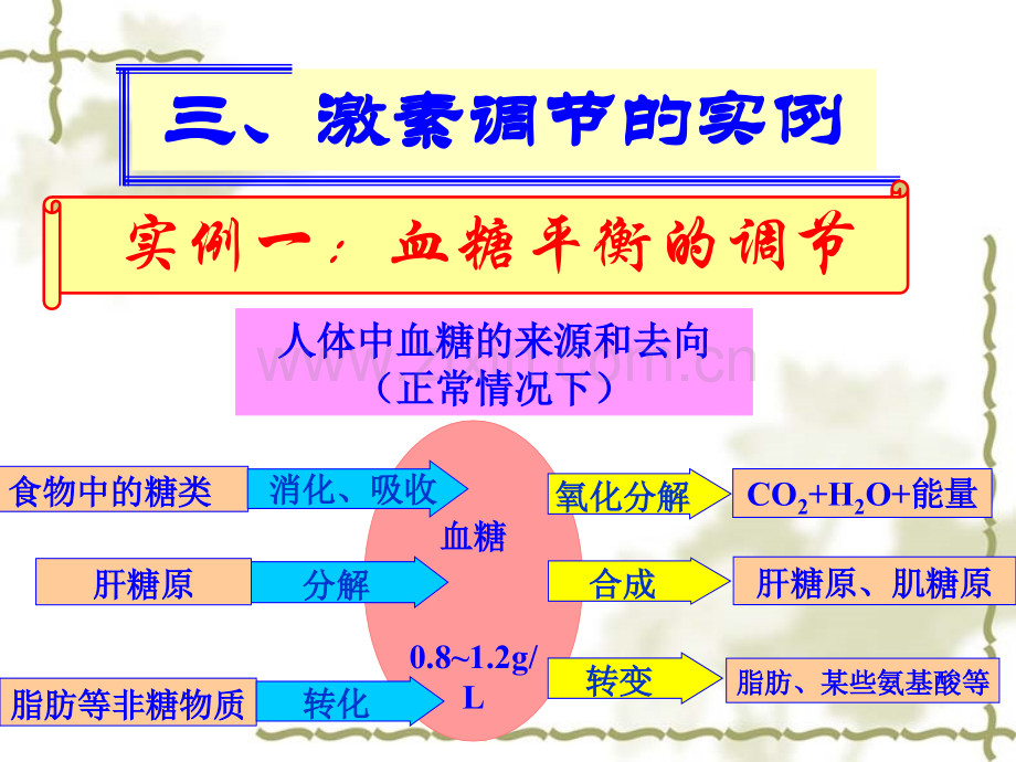 激素调节机制时.pptx_第1页