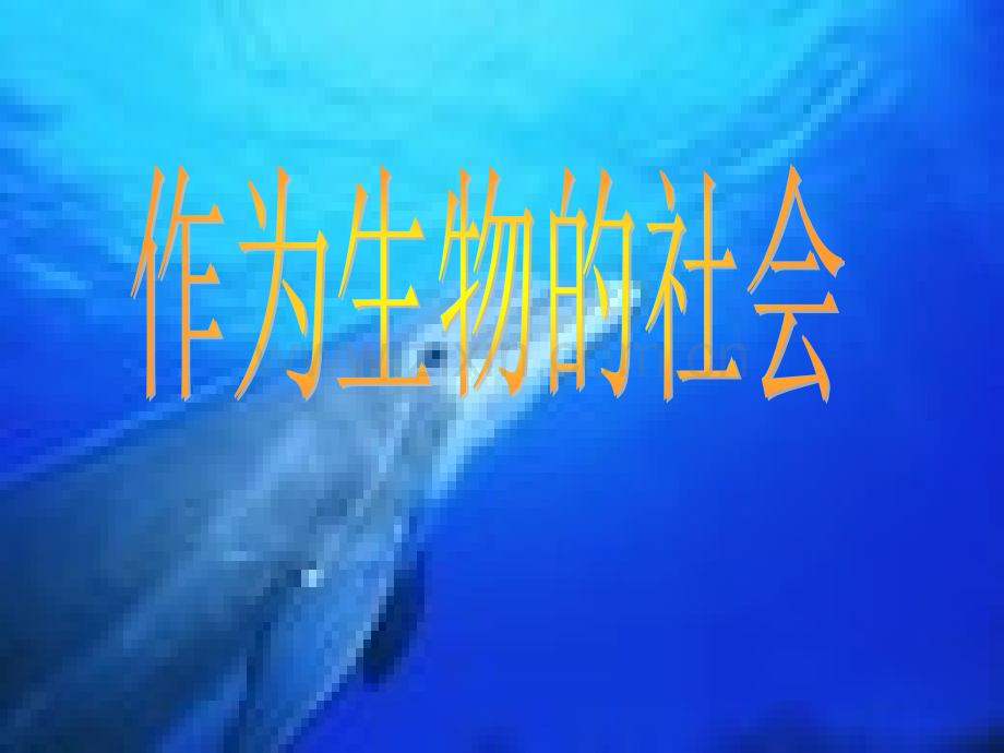 河北省邯郸市曲周一中高二语文必修五12作为生物的社会.pptx_第1页