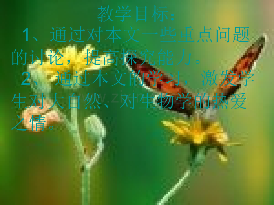 河北省邯郸市曲周一中高二语文必修五12作为生物的社会.pptx_第2页