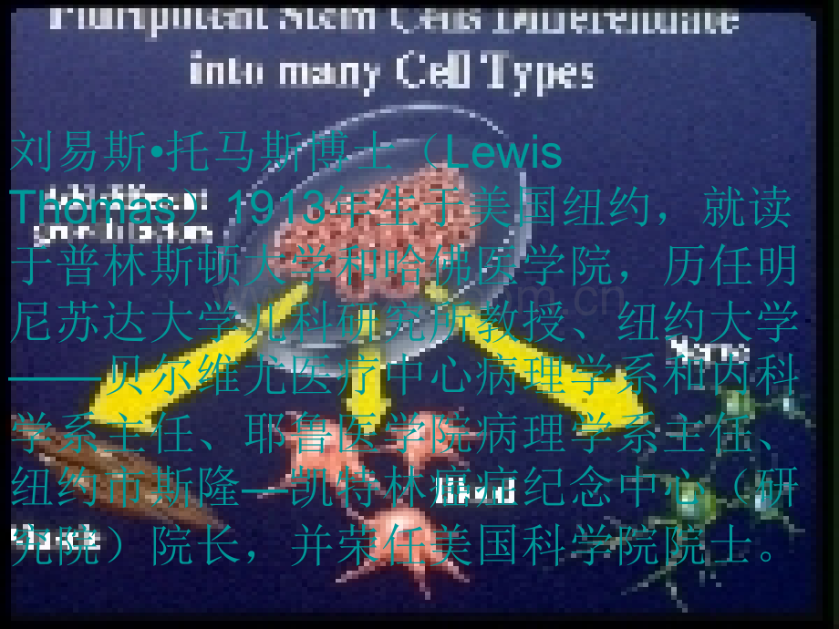 河北省邯郸市曲周一中高二语文必修五12作为生物的社会.pptx_第3页