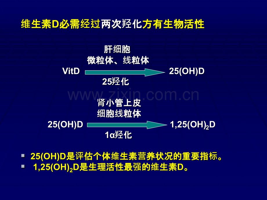 维生素D缺乏性佝偻病医学资料.pptx_第3页