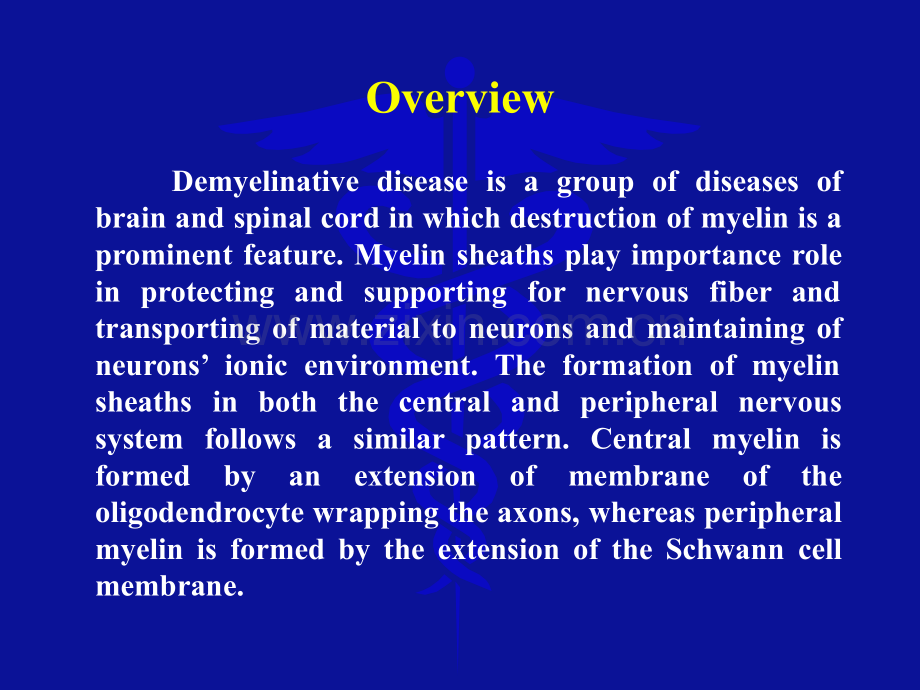 脱髓鞘幻灯2009医大.pptx_第1页