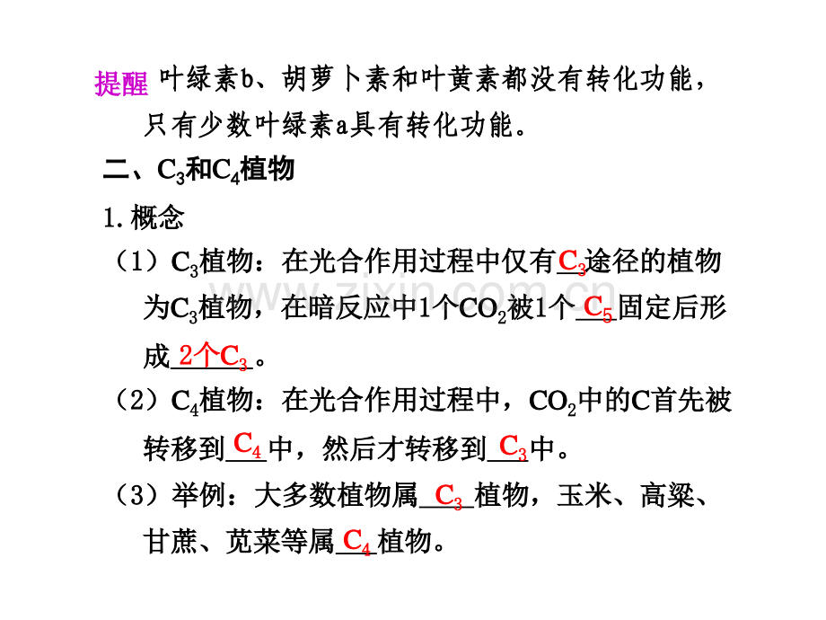 时光合作用选修.pptx_第2页