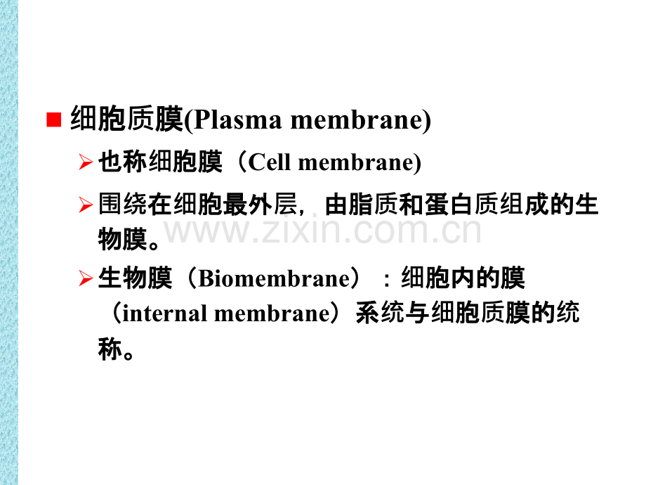 细胞质膜与物质的跨膜运输.pptx_第2页