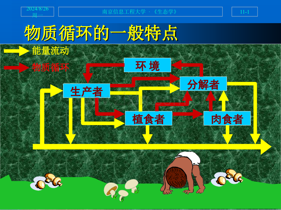 生态系统的物质循环生态学.pptx_第1页