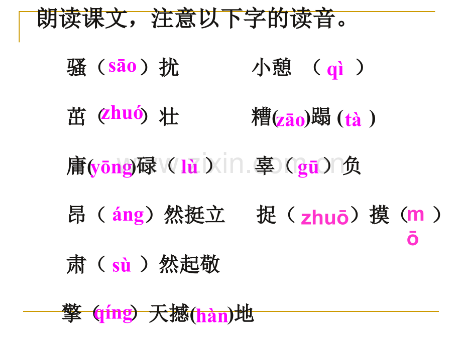 生命生命PPT课件2.pptx_第2页