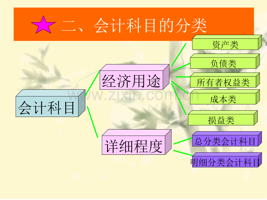 第二章会计科目和账户.pptx_第2页