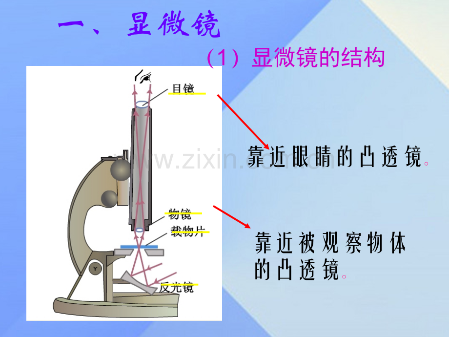 秋八级物理上册显微镜和望远镜新版新人教版.pptx_第3页