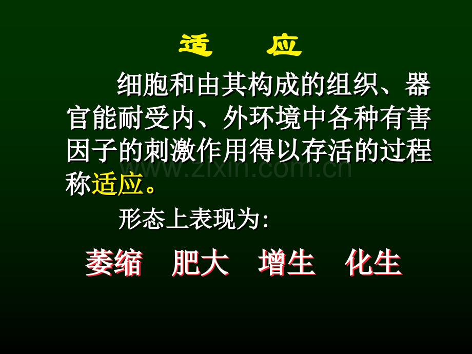 细胞组织损伤适应与修复.pptx_第3页