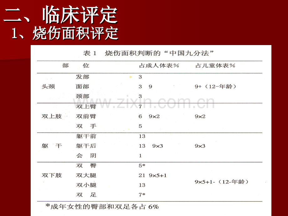 烧伤及康复概述.pptx_第3页