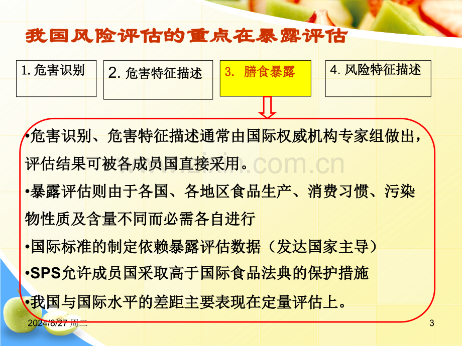 构建中国膳食暴露评估模型.pptx_第3页