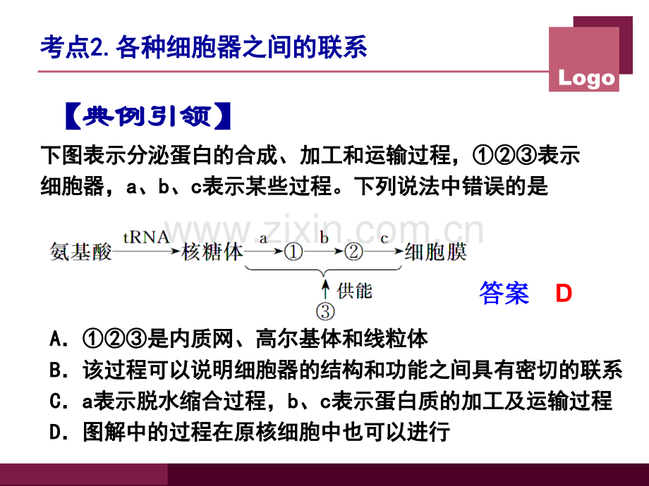 细胞的结构之细胞核.pptx_第1页