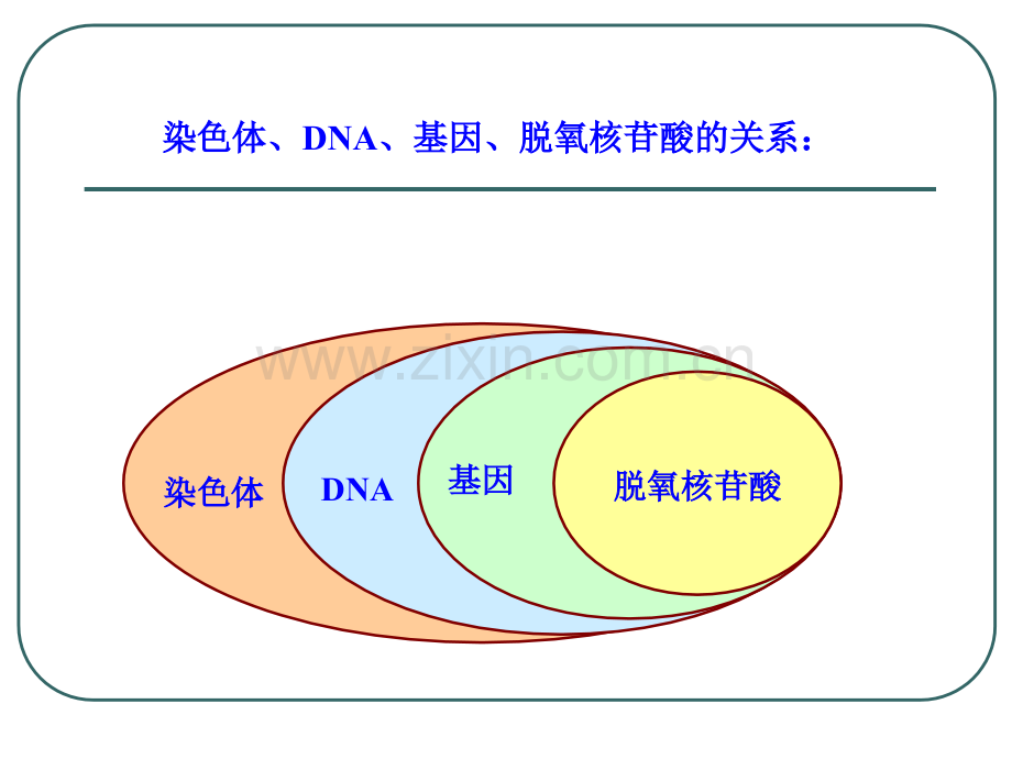 苏教版江苏省南京市东山外语国际学校高三生物基因表达.pptx_第2页