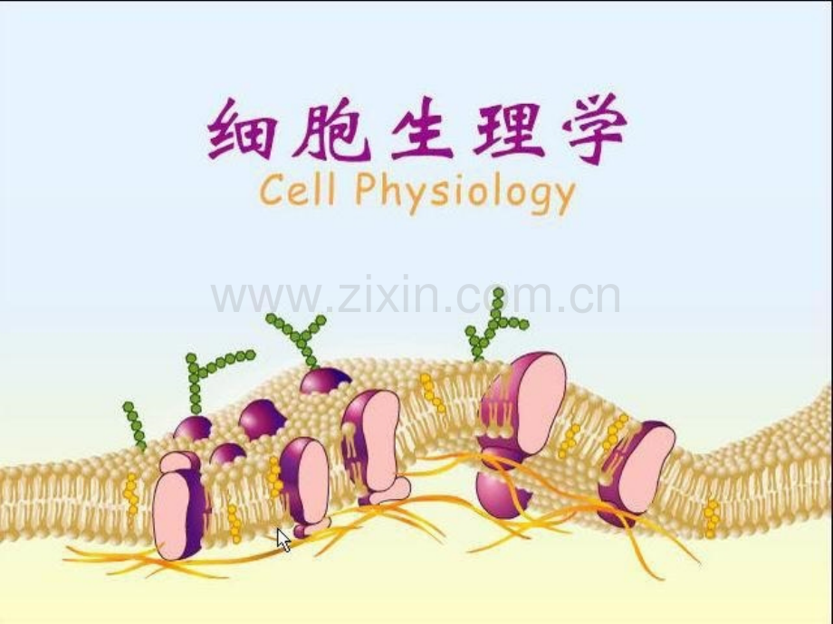 细胞生理学旧.pptx_第1页