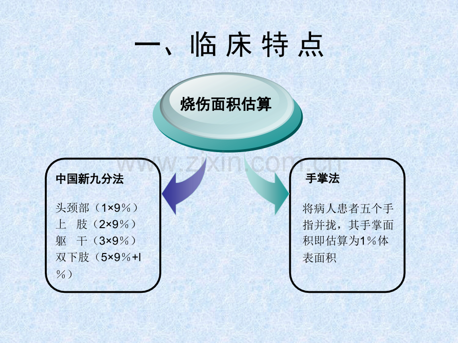 烧伤患者的营养支持治疗.pptx_第3页