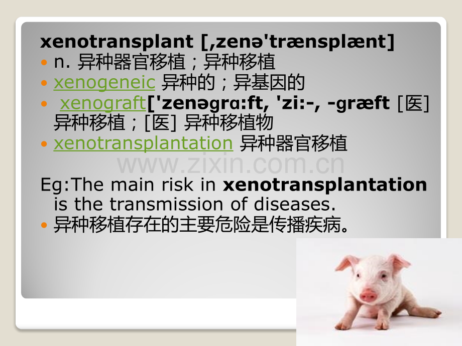 综合英语教程412单元.pptx_第2页