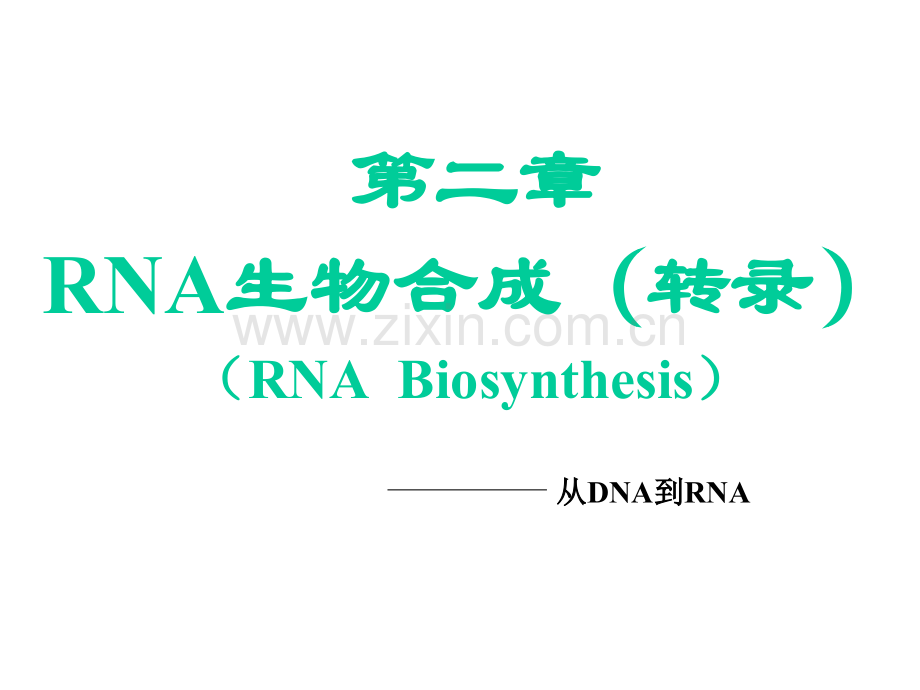 第二章RNA的生物合成.pptx_第1页