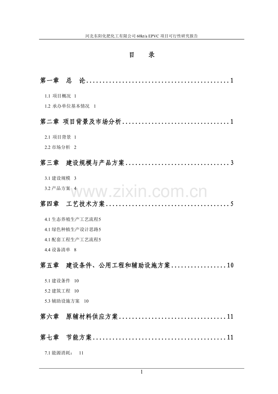 河北东阳化肥化工有限公司60kta-EPVC项目可行性研究报告.doc_第1页