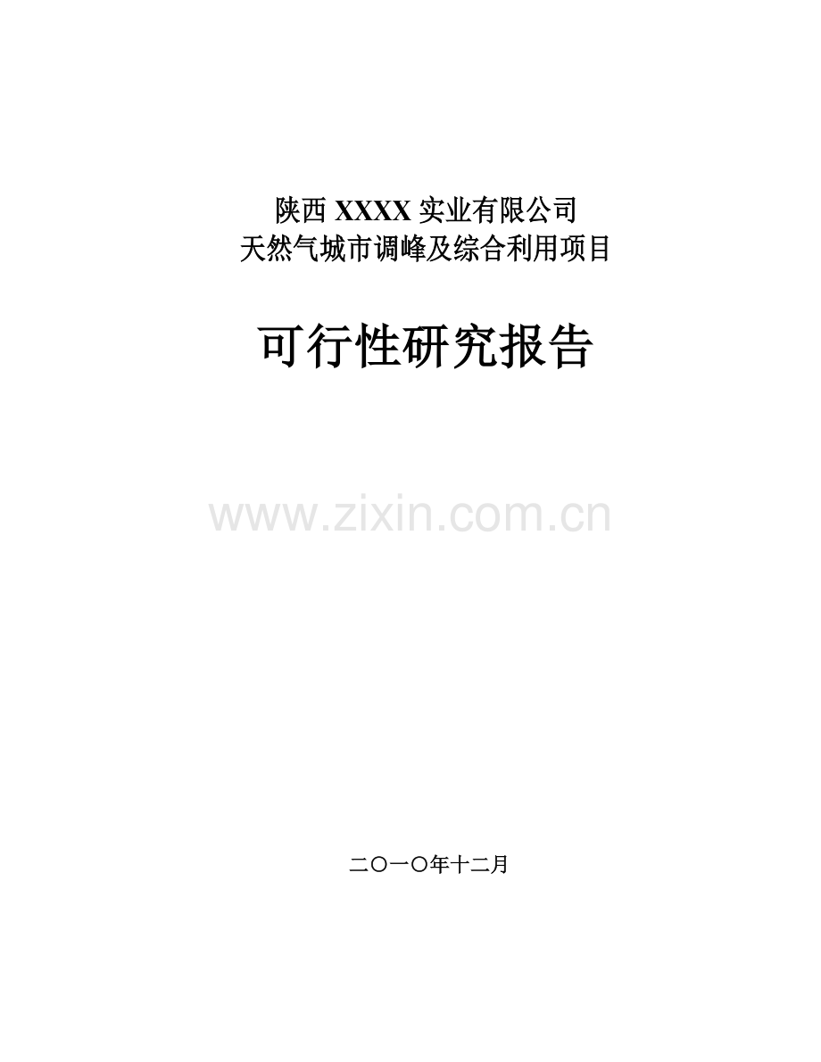 天然气城市调峰及综合利用项目可行性研究报告.doc_第1页