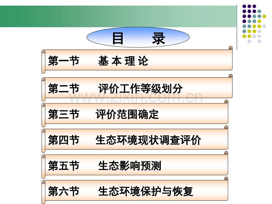 生态环境影响评价.pptx_第1页