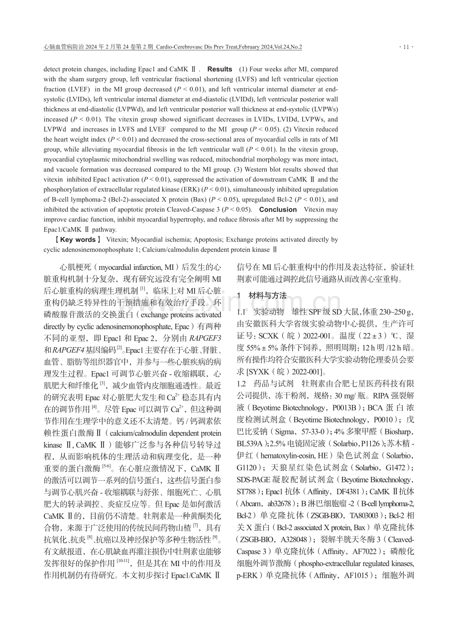 牡荆素调节环磷酸腺苷激活的交换蛋白1_钙_钙调素依赖性蛋白激酶Ⅱ信号对大鼠心肌梗死后心肌肥大与纤维化的作用.pdf_第2页