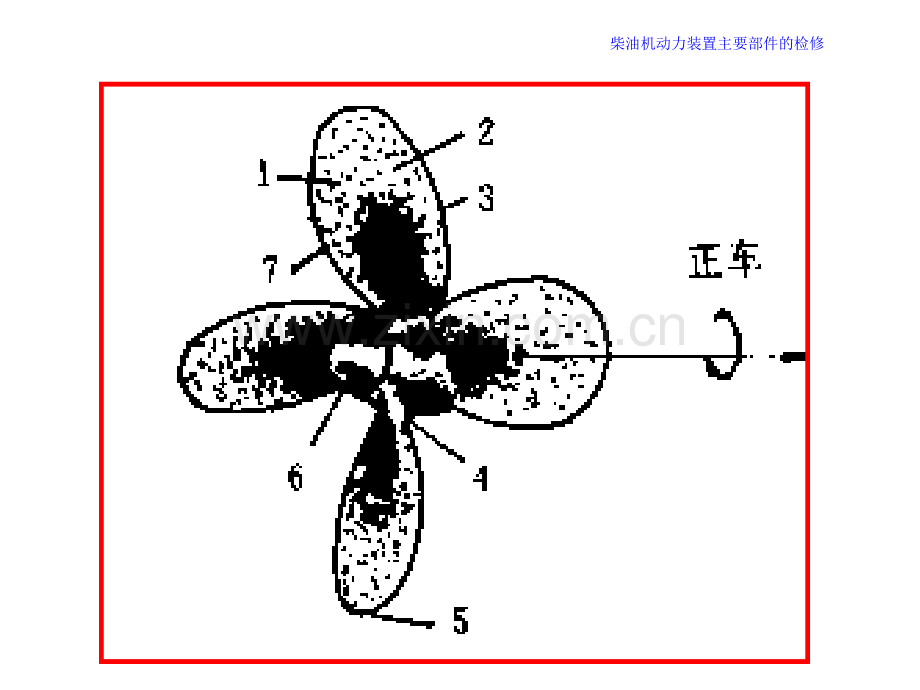 机维护与修理柴油机动力装置主要部件的检修螺旋桨.pptx_第3页