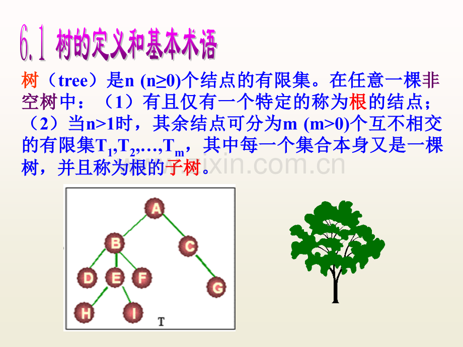 第6-树和二叉树.pptx_第2页