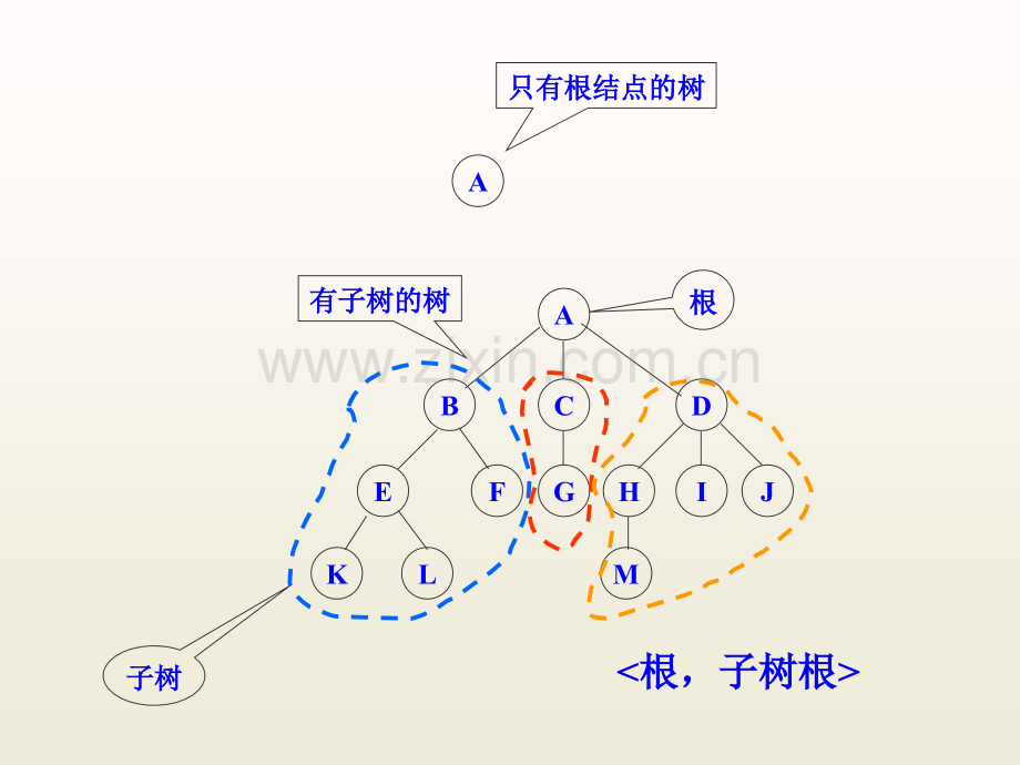 第6-树和二叉树.pptx_第3页