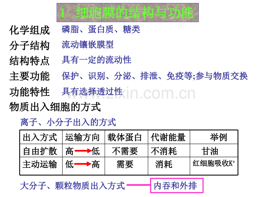 细胞的结构和功能复习.pptx_第2页