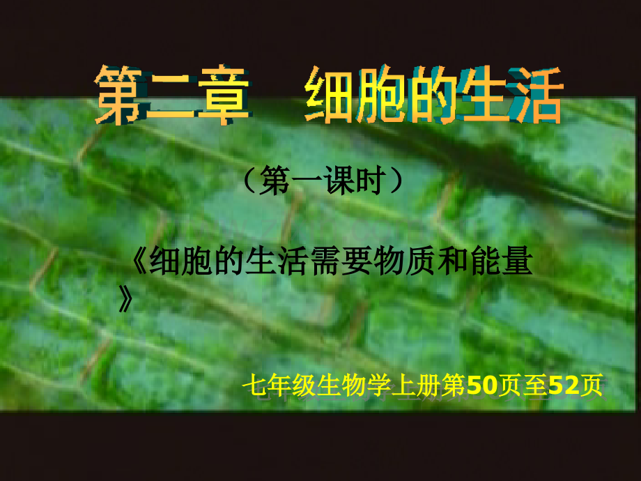 细胞的生活需要物质和能量---公开课.pptx_第2页