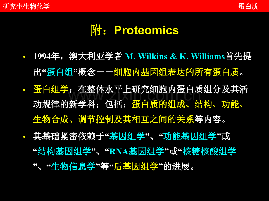 第四章蛋白质.pptx_第2页