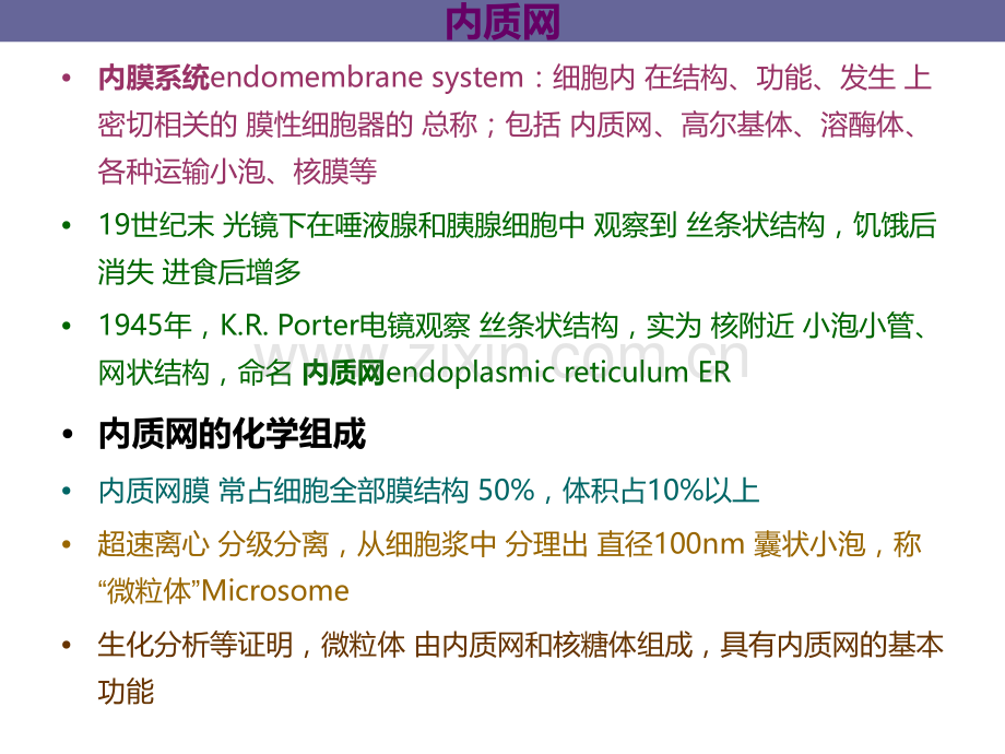 细胞的内膜系统与囊泡转运.pptx_第1页